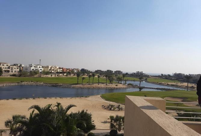 62407535 - صورة العقار 3