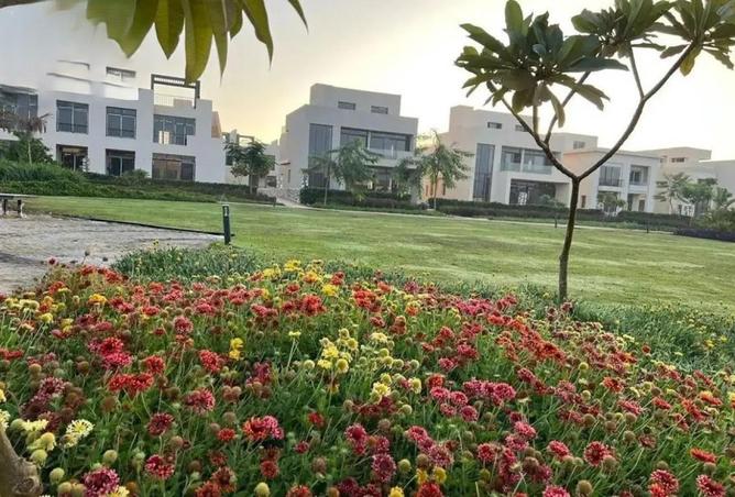 56495361 - Property Image 3