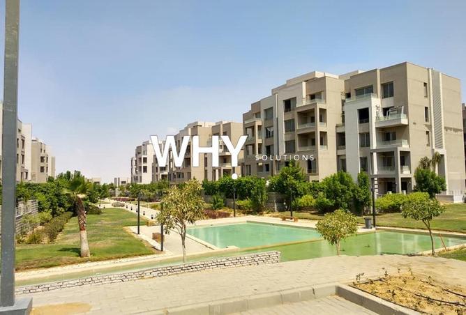 63135424 - Property Image 3