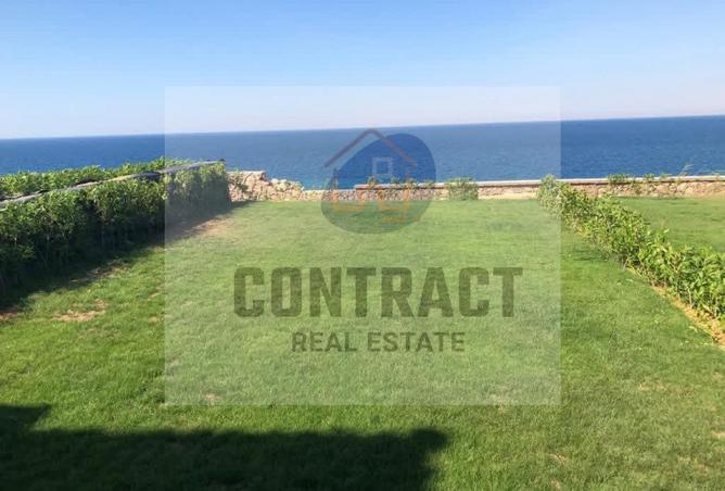 74312303 - Property Image 3