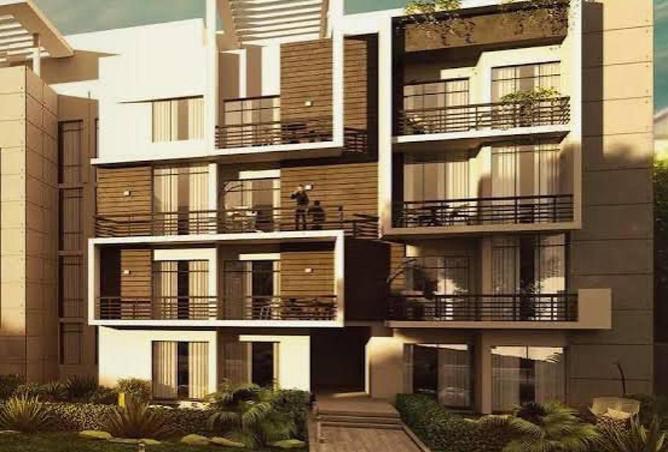 55498204 - Property Image 2