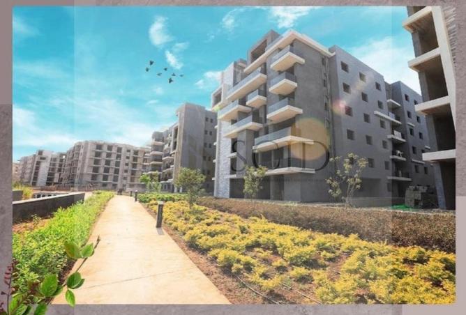 64894995 - Property Image 3