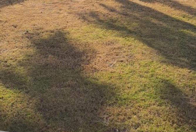 8697020 - صورة العقار 3