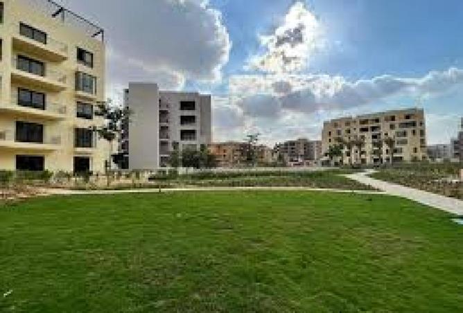 56259253 - صورة العقار 2