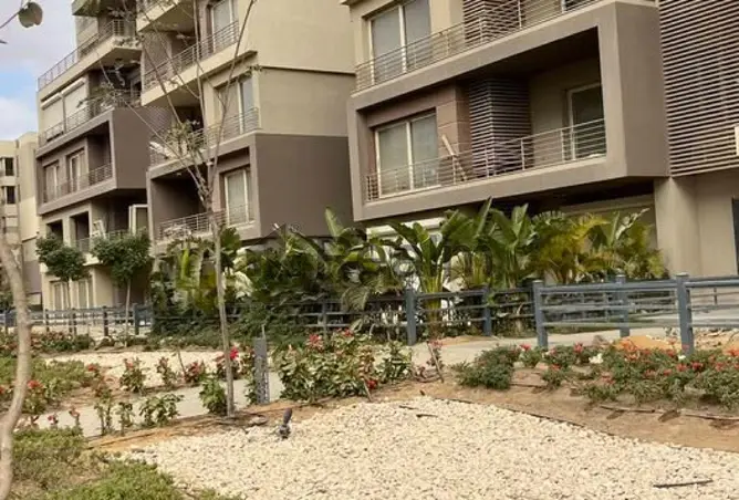 109915246 - Property Image 3
