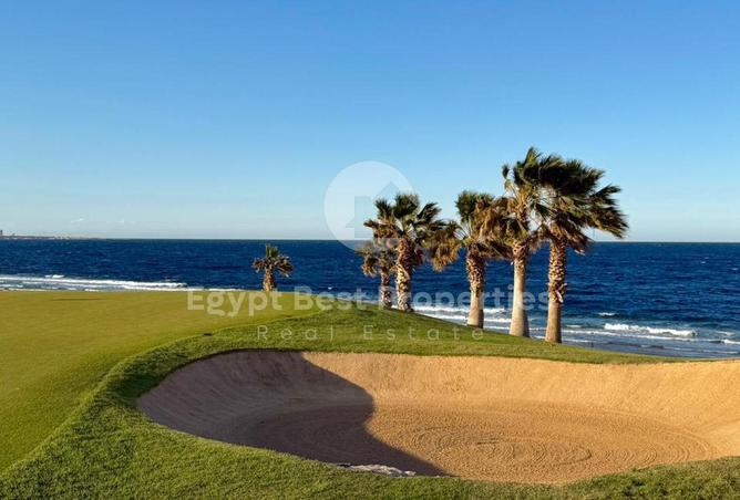 67998115 - Property Image 2