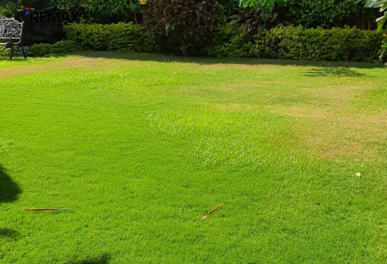 113545568 - الصورة الرئيسية للعقار