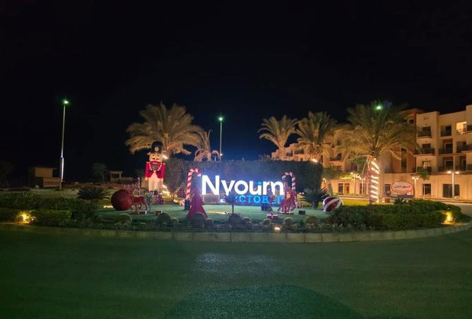 100091333 - صورة العقار 2