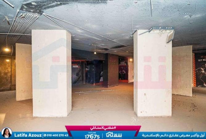 8467027 - Property Image 3