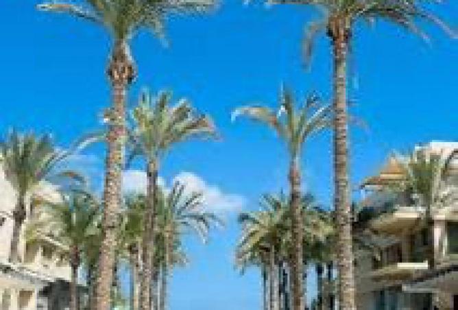 57484551 - صورة العقار 3