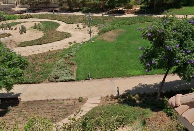 55252971 - Property Image 2