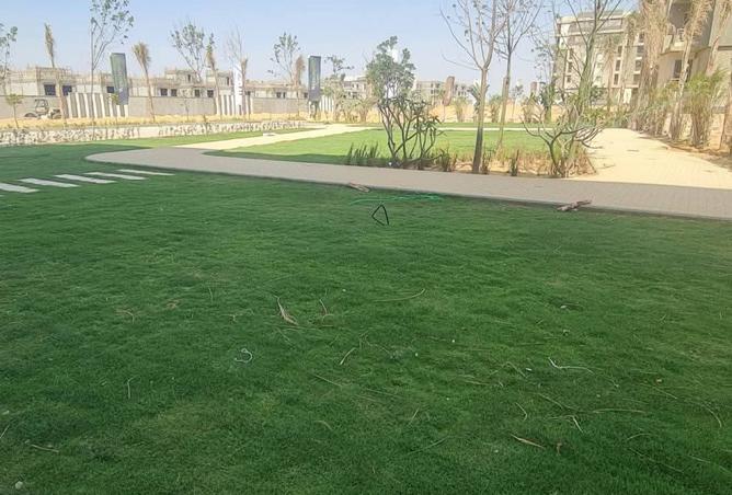 8503107 - صورة العقار 3