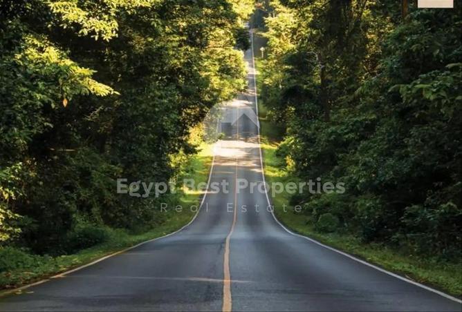 58002576 - صورة العقار 2