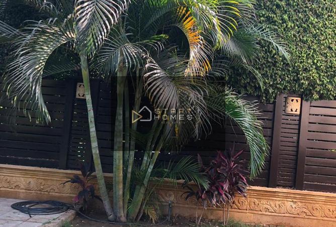 94097631 - صورة العقار 2