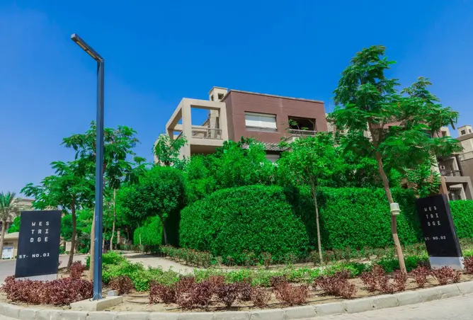 117531751 - صورة العقار 2