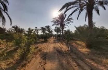 قطعة أرض - استوديو للبيع في جمعية احمد عرابى - مدينة العبور - القليوبية