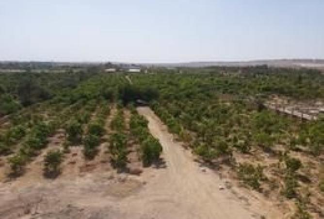 100640427 - الصورة الرئيسية للعقار