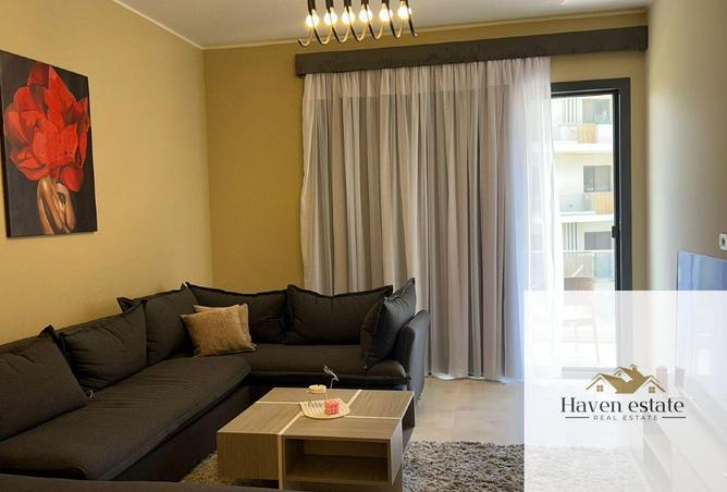 53478402 - Property Main Image