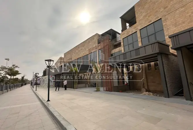 119331687 - Property Image 3