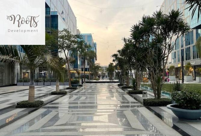 66167745 - صورة العقار 3