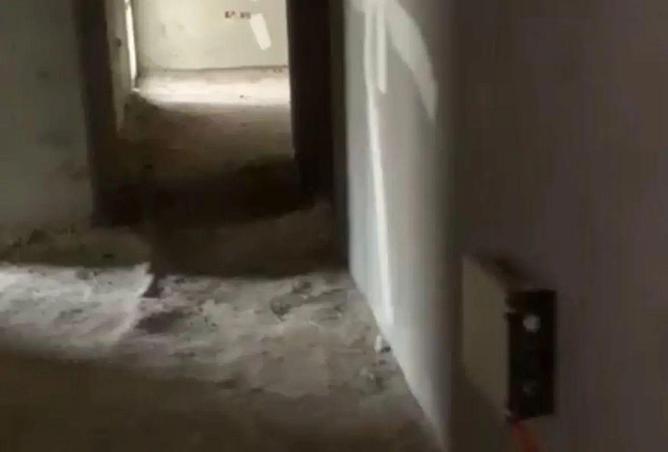 89249964 - Property Image 2