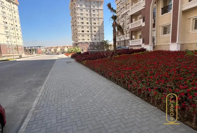 79724725 - صورة العقار 3