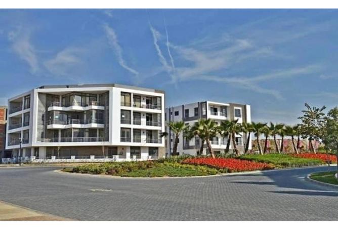 8573460 - صورة العقار 3