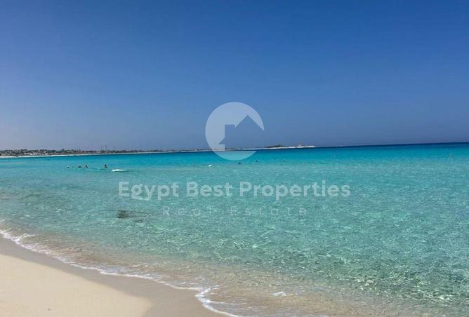 70356129 - صورة العقار 2