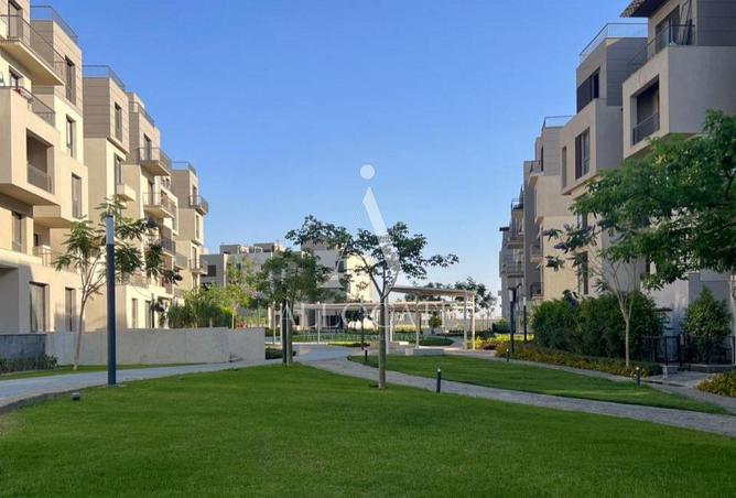 81572808 - صورة العقار 3