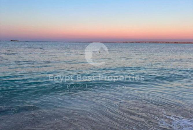 97150307 - صورة العقار 3