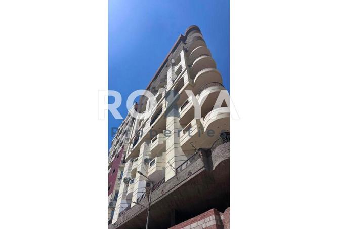 87831241 - Property Image 2