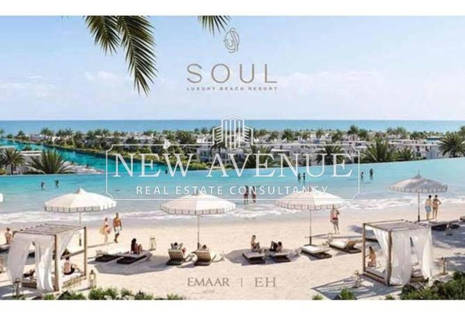 64389697 - Property Image 3