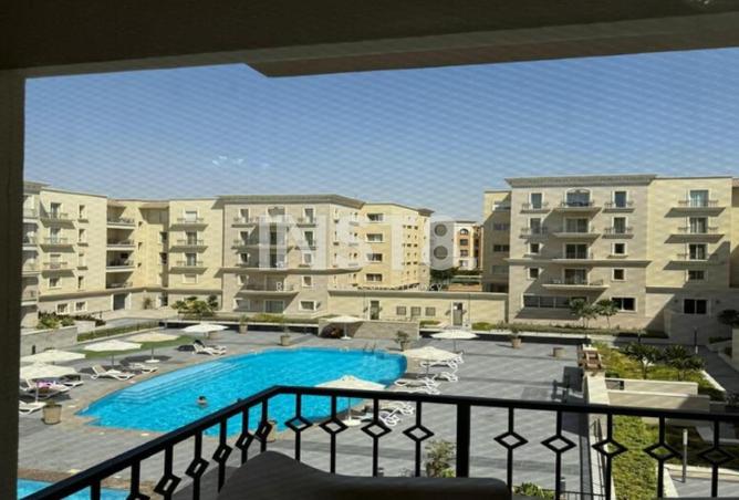 8595940 - Property Image 3