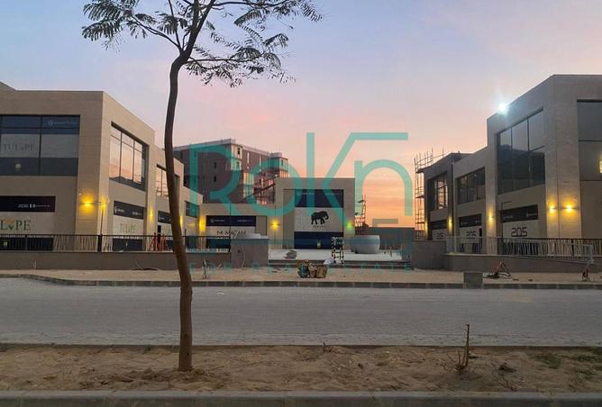 67478304 - صورة العقار 3