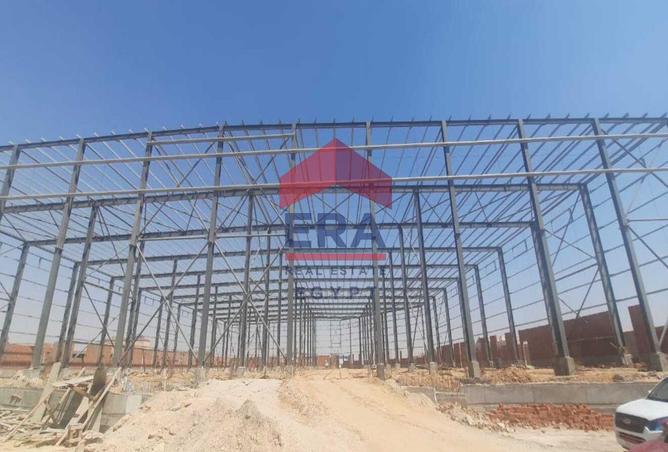 55499292 - صورة العقار 3