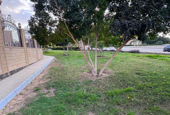 8498812 - Property Image 3