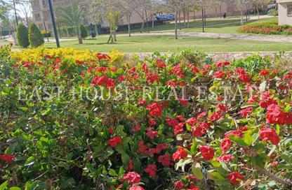 Apartment - 2 Bedrooms - 1 Bathroom for sale in Madinaty - Cairo