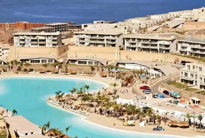 58985401 - Property Image 3