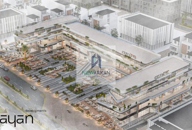 58256690 - صورة العقار 3