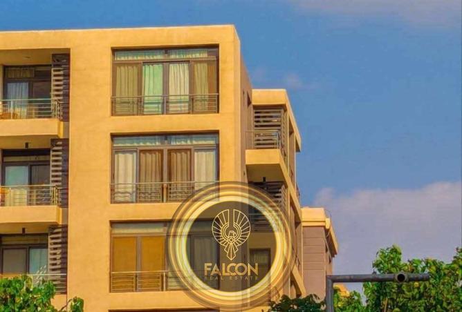 66177174 - Property Image 3