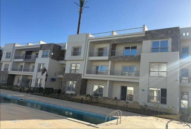 63141003 - Property Image 3