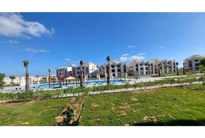 101775141 - Property Image 3