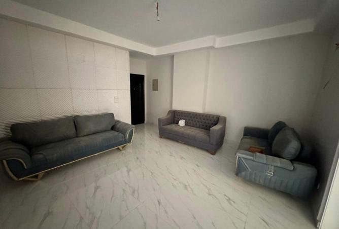 8628783 - Property Image 3