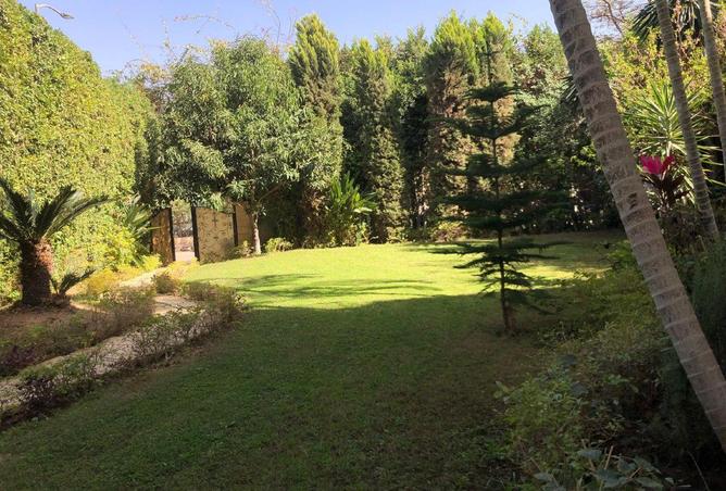 81311355 - Property Main Image