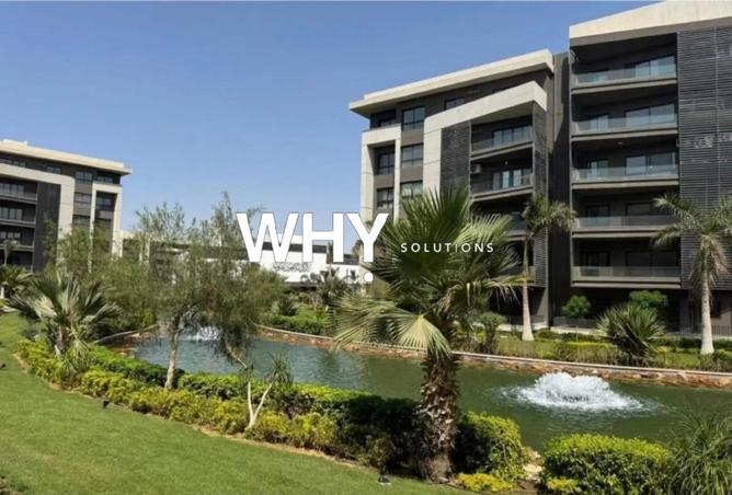 61203862 - صورة العقار 2