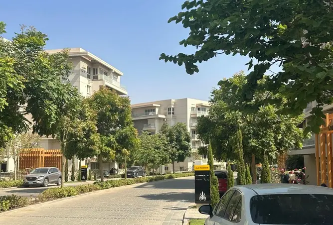 97151535 - صورة العقار 3