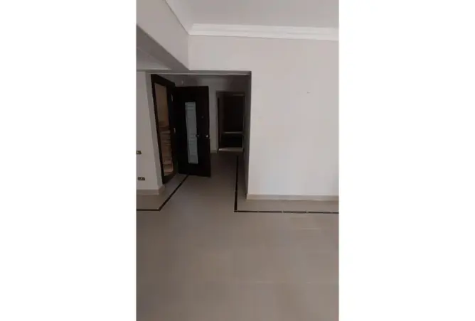 117534183 - Property Image 2