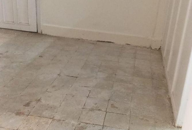 65660481 - Property Main Image