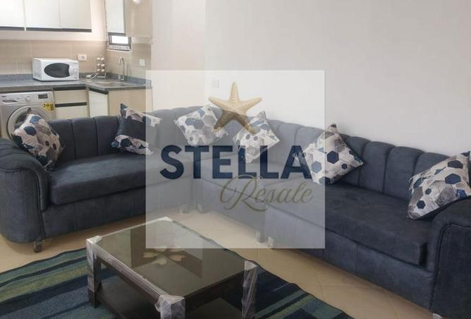 107419377 - Property Image 3