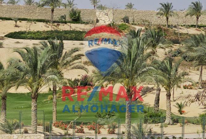 8620191 - صورة العقار 3